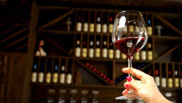 Privwinetasting ezgif com video to gif converter