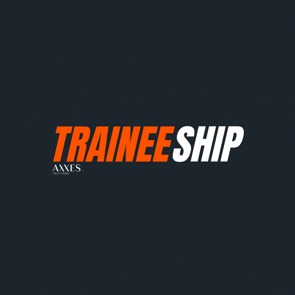 Traineeship 2026 Logo gif website