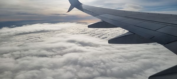 Picture5